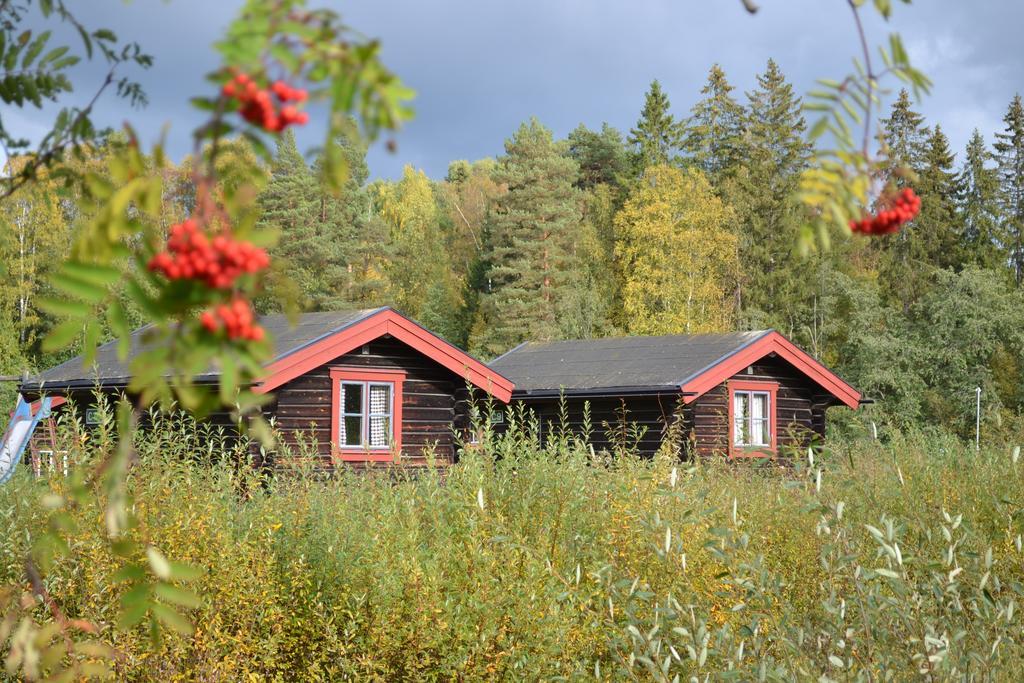 فندق First Camp Enabadet - Raettvik المظهر الخارجي الصورة